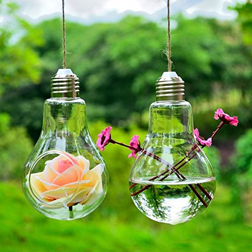 set-of-2-bulb-shaped-hanging-lightbulb-succulent-garden-terrarium-glass-planter-pots-for-home-decor.jpg_640x640.jpg